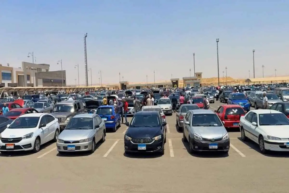 صوره الخبر
